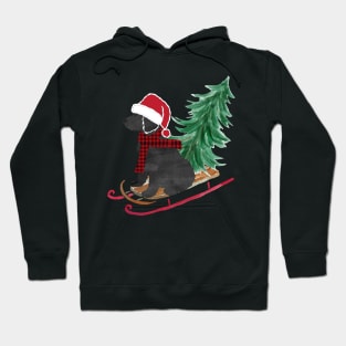 Labradoodle Christmas Sled Bringing Home The Tree Hoodie